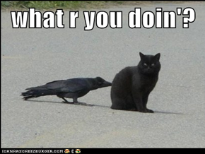 what r you doin'?
