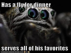 Has a fly for dinner  serves all of his favorites