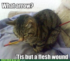 What arrow?