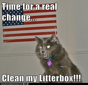Time for a real change...  Clean my Litterbox!!!