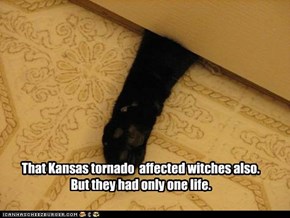 That Kansas tornado  affected witches also. But they had only one life.