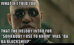 WHAT IF I TOLD YOU  THAT THE MELODY INTRO FOR "SOMEBODY I USE TO KNOW" WAS "BA BA BLACKSHEEP"