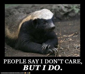 Poor Misunderstood Honey Badger