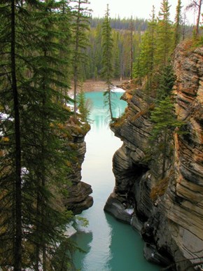 Jasper National Park, Alberta, Canada