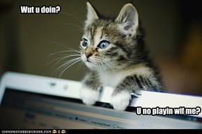 Kitteh wanna play