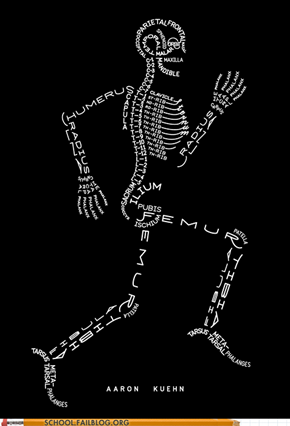 Anatomy 101: All the Bones You'll Ever Need to Know and More