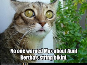 No one warned Max about Aunt Bertha's string bikini.