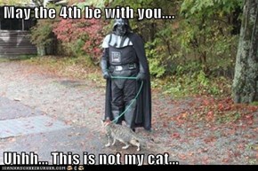 May the 4th be with you....  Uhhh... This is not my cat...