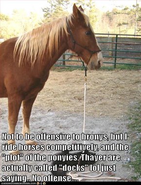 Not to be offensive to bronys, but I ride horses competitively, and the "plot" of the ponyies, Thayer are actually called "docks" lol just saying.. No offense....