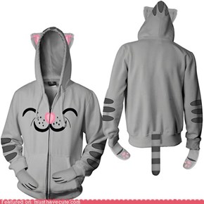 Big Bang Theory Soft Kitty Hoodie