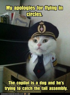 My  apologies  for  flying  in  circles.