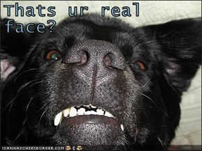Thats ur real face?