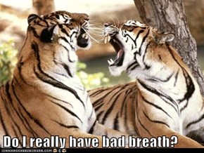Do I really have bad breath?