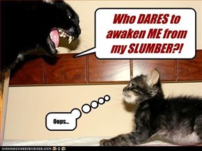 Classic LOLcat
