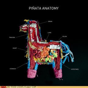 Pinata Guts
