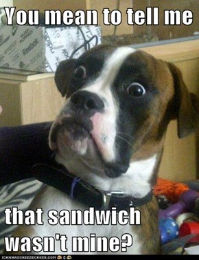 You mean to tell me  that sandwich wasn't mine?