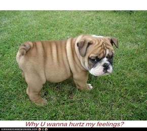 Why U wanna hurtz my feelings?