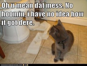 Oh u mean dat mess. No hoomin, i have no idea how it got dere.
