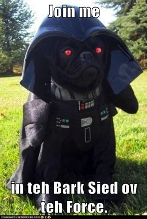 Join me  in teh Bark Sied ov teh Force.