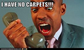 I HAVE NO CARPETS!!!