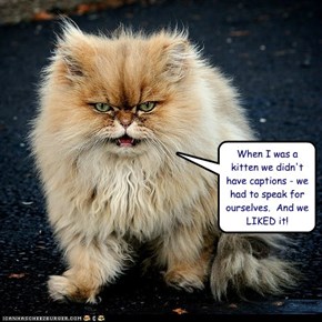 When I was a kitten we didn't have captions - we had to speak for ourselves.  And we LIKED it!