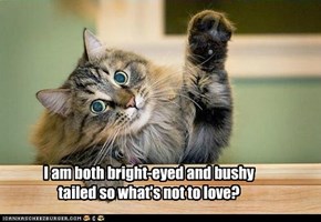 I am both bright-eyed and bushy tailed so what's not to love?