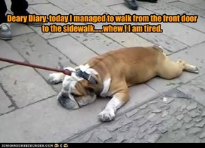 Deary Diary, today I managed to walk from the front door to the sidewalk......whew ! I am tired.