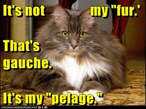 It's not                my "fur.' That's                               gauche. It's my "pelage."