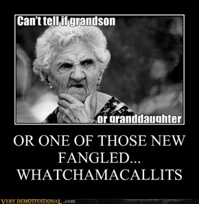 OR ONE OF THOSE NEW FANGLED... WHATCHAMACALLITS