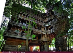 Dat Treehouse