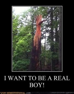 I WANT TO BE A REAL BOY!