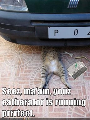 Seez, ma'am, youz catberator is running prrrfect.
