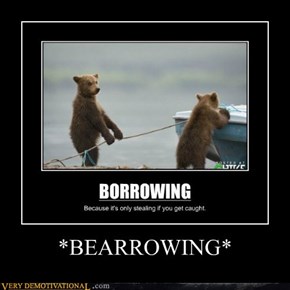 *BEARROWING*