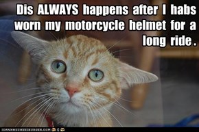 Dis  ALWAYS  happens  after  I  habs  worn  my  motorcycle  helmet  for  a  long  ride .