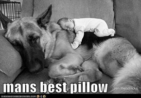 mans best pillow