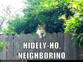 HIDELY-HO, NEIGHBORINO