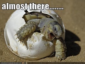 almost there........