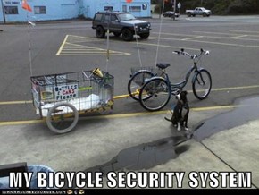 MY BICYCLE SECURITY SYSTEM