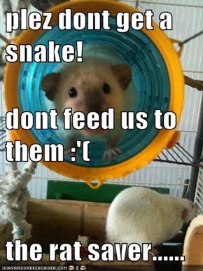 plez dont get a snake! dont feed us to them :'( the rat saver......
