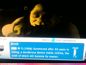 The Perfect "Shrek" Summary