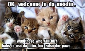 Why itteh bitteh kitteh committehs don't get much done.