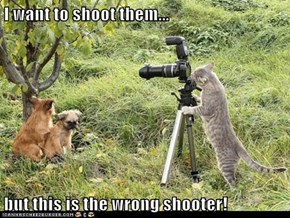 I want to shoot them...  but this is the wrong shooter!