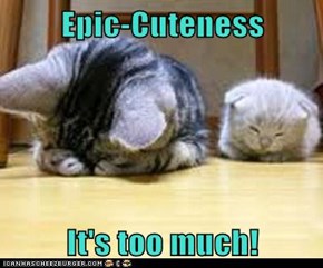 Epic-Cuteness  It's too much!