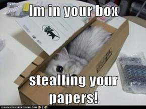 Im in your box  stealling your papers!