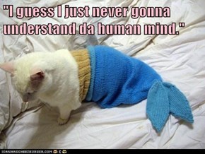 "I guess I just never gonna understand da human mind."