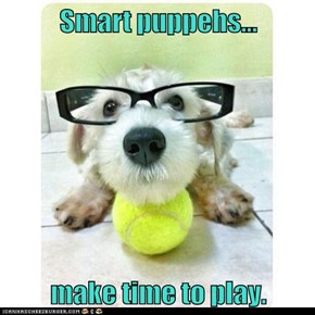 Smart puppehs...  make time to play.