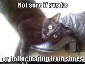 Not sure if awake  or hallucinating from shoes