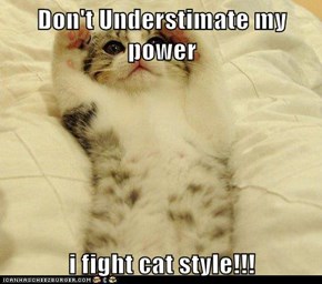 Don't Understimate my power  i fight cat style!!!