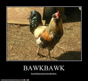 BAWKBAWK
