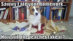 Sawwy I ate your homework...  How will the teacher take it?